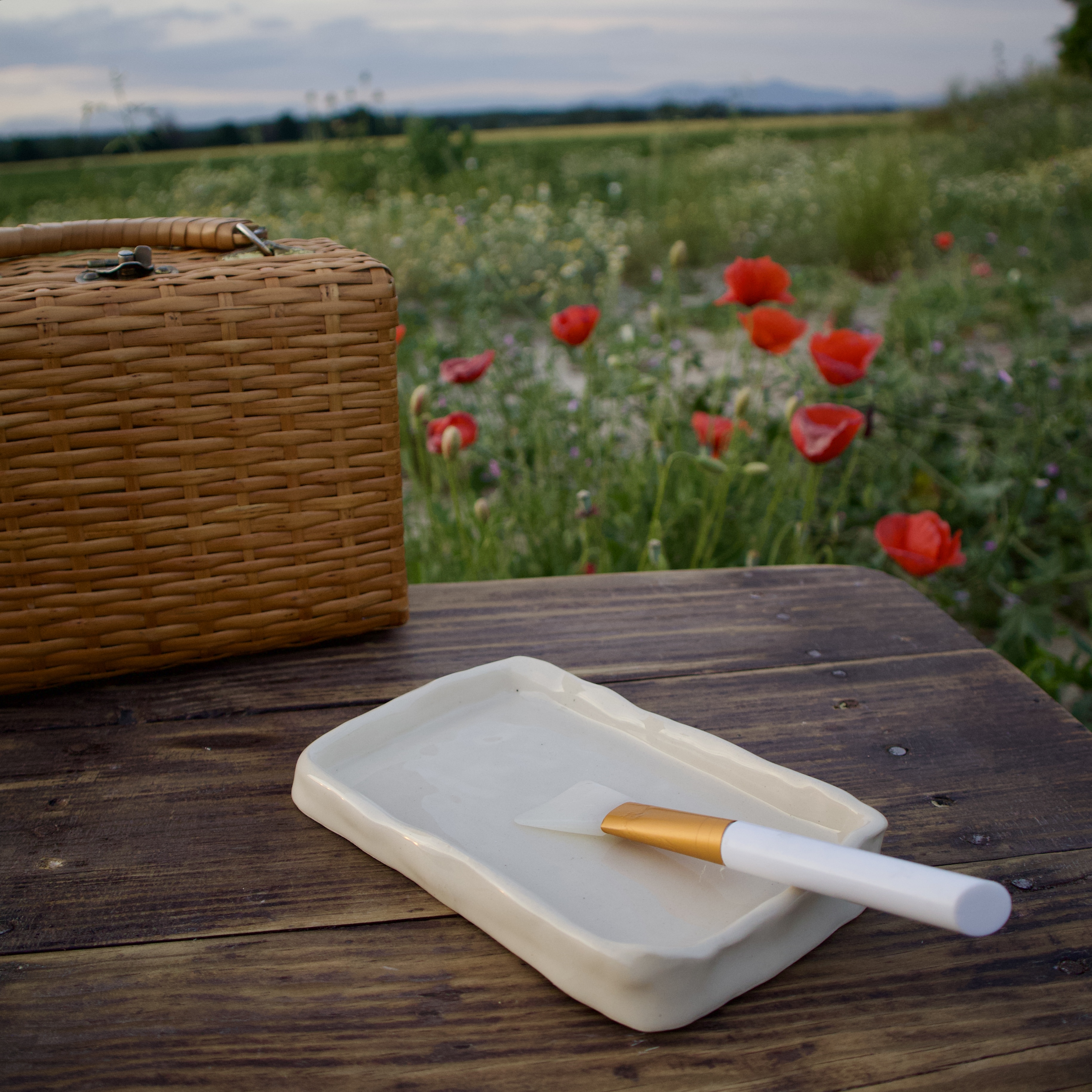 Platito reposa brochas